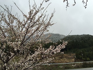 IMG_0090.jpg