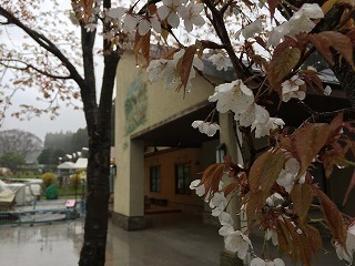 IMG_0116.jpg