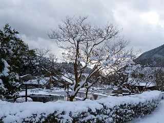 P1260800.jpg