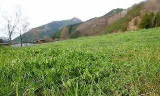 P1270991.jpg