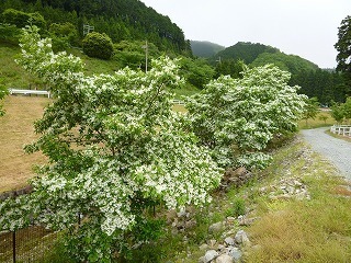 P1280324.jpg
